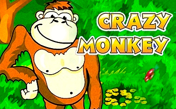 Crazy Monkey